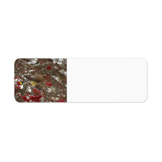 Cedar Waxwing Label