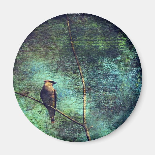 Cedar Waxwing Magnet (Front)