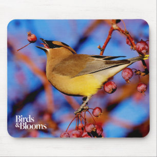 Cedar Waxwing Mouse Pad