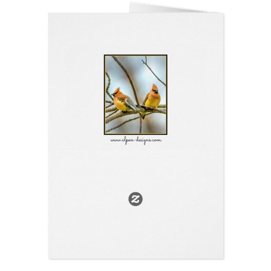 Cedar Waxwing - Original Photograph (Back)