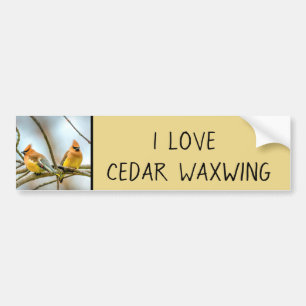 Cedar Waxwing - Original Photograph Bumper Sticker
