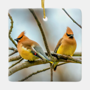 Cedar Waxwing - Original Photograph Ceramic Ornament