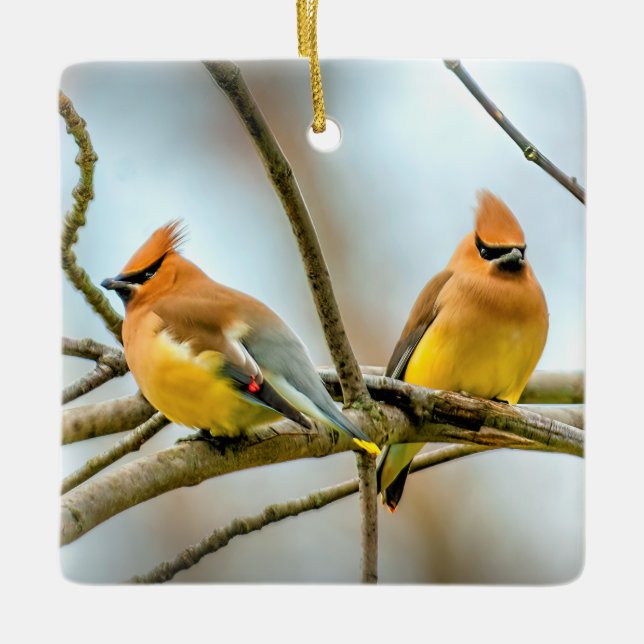 Cedar Waxwing - Original Photograph Ceramic Ornament (Front)
