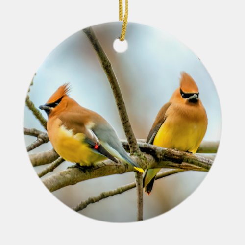 Cedar Waxwing _ Original Photograph Ceramic Ornament