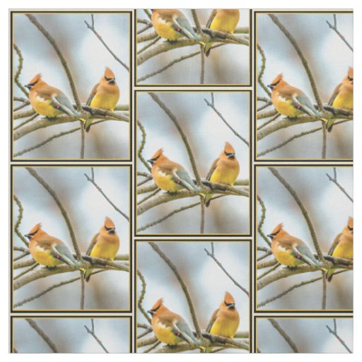 Cedar Waxwing - Original Photograph Fabric