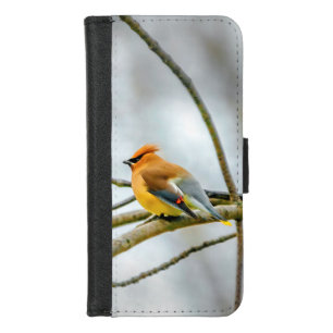 Cedar Waxwing - Original Photograph iPhone 8/7 Wallet Case