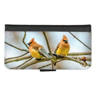 Cedar Waxwing - Original Photograph iPhone 8/7 Wallet Case