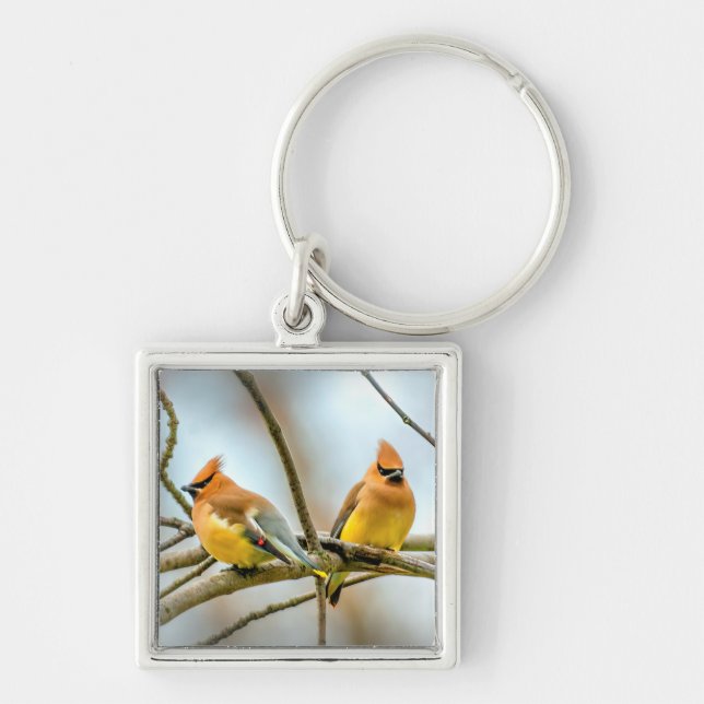 Cedar Waxwing - Original Photograph Keychain (Front)