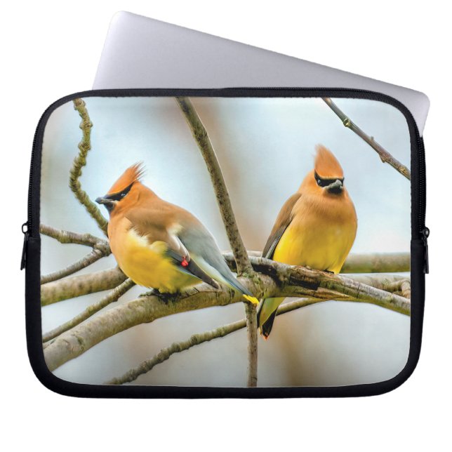 Cedar Waxwing - Original Photograph Laptop Sleeve (Front)