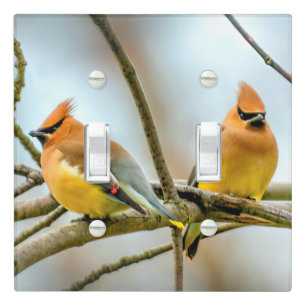 Cedar Waxwing - Original Photograph Light Switch Cover