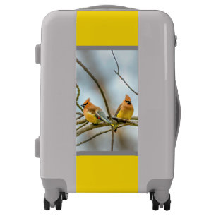 Cedar Waxwing - Original Photograph Luggage