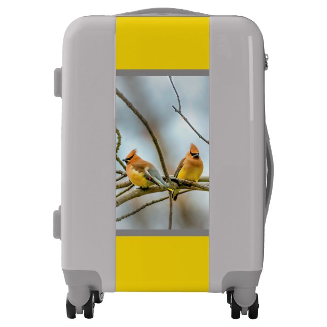 Cedar Waxwing - Original Photograph Luggage (Front)