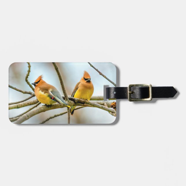 Cedar Waxwing - Original Photograph Luggage Tag (Front Horizontal)