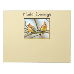 Cedar Waxwing - Original Photograph Notepad