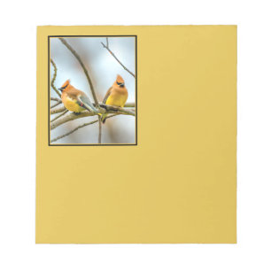 Cedar Waxwing - Original Photograph Notepad
