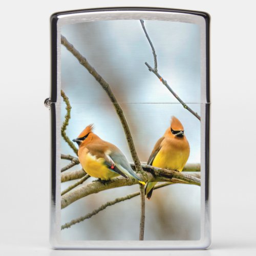 Cedar Waxwing _ Original Photograph Zippo Lighter