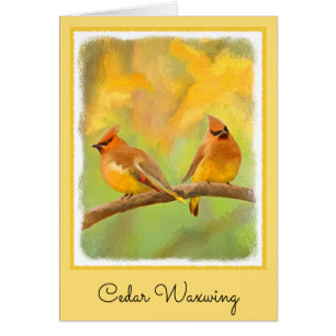Cedar Waxwing Painting - Cute Original Dog Art Cards