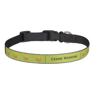 Cedar Waxwing Painting - Cute Original Dog Art Pet Collar
