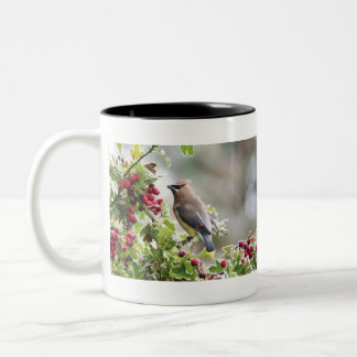 Cedar Waxwing, Peace, Love & Joy Coffee Mug