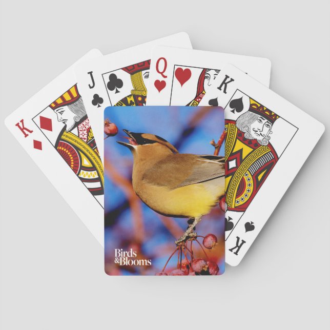 Cedar Waxwing Poker Cards (Back)