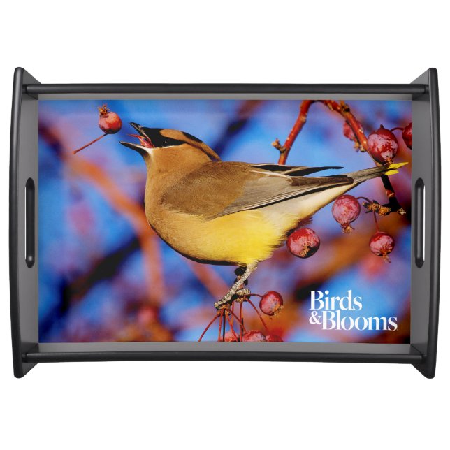 Cedar Waxwing Serving Tray (Front)