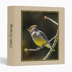 Cedar Waxwing Songbird Original Wild Bird Photo 3 Ring Binder