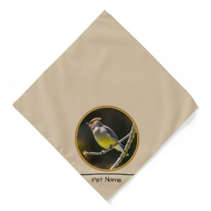 Cedar Waxwing Songbird Original Wild Bird Photo Bandana
