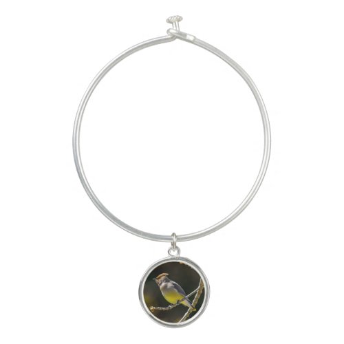 Cedar Waxwing Songbird Original Wild Bird Photo Bangle Bracelet