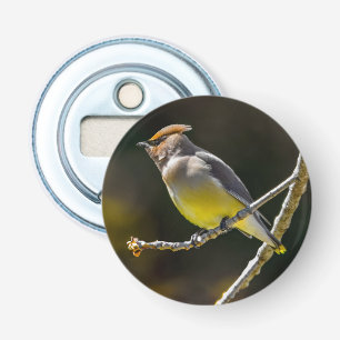 Cedar Waxwing Songbird Original Wild Bird Photo Bottle Opener