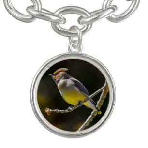 Cedar Waxwing Songbird Original Wild Bird Photo Bracelet