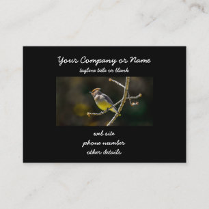 Cedar Waxwing Songbird Original Wild Bird Photo Business Card