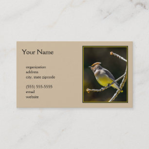 Cedar Waxwing Songbird Original Wild Bird Photo Business Card