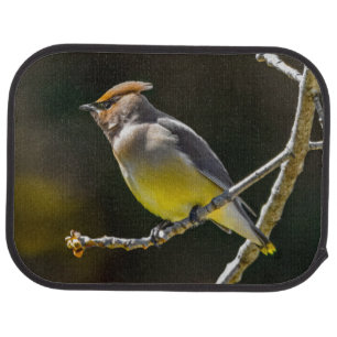 Cedar Waxwing Songbird Original Wild Bird Photo Car Floor Mat