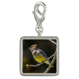 Cedar Waxwing Songbird Original Wild Bird Photo Charm