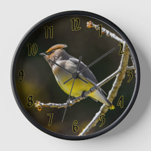 Cedar Waxwing Songbird Original Wild Bird Photo Clock
