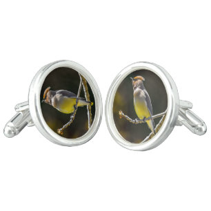 Cedar Waxwing Songbird Original Wild Bird Photo Cufflinks