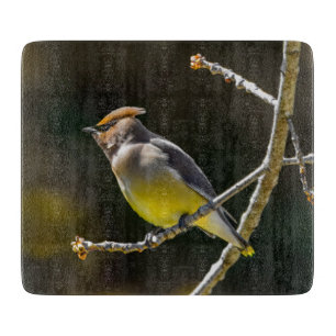 Cedar Waxwing Songbird Original Wild Bird Photo Cutting Board