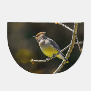 Cedar Waxwing Songbird Original Wild Bird Photo Doormat