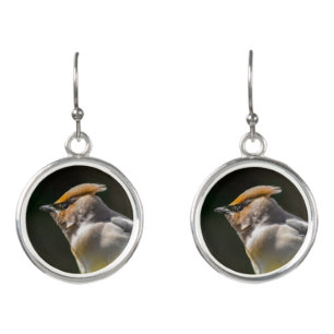Cedar Waxwing Songbird Original Wild Bird Photo Earrings