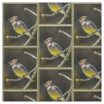 Cedar Waxwing Songbird Original Wild Bird Photo Fabric