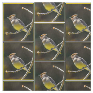 Cedar Waxwing Songbird Original Wild Bird Photo Fabric