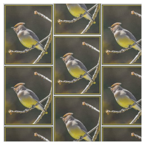 Cedar Waxwing Songbird Original Wild Bird Photo Fabric