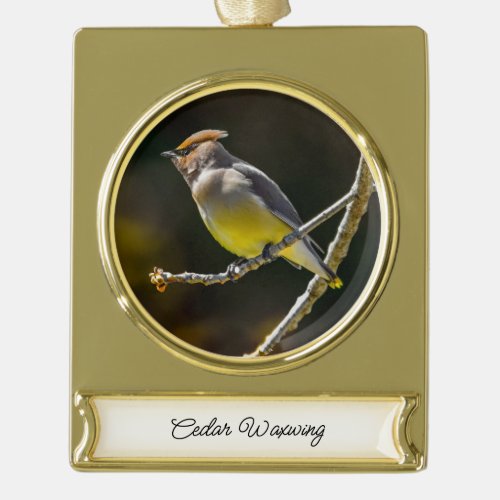 Cedar Waxwing Songbird Original Wild Bird Photo Gold Plated Banner Ornament