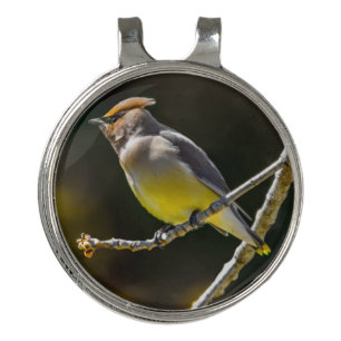 Cedar Waxwing Songbird Original Wild Bird Photo Golf Hat Clip