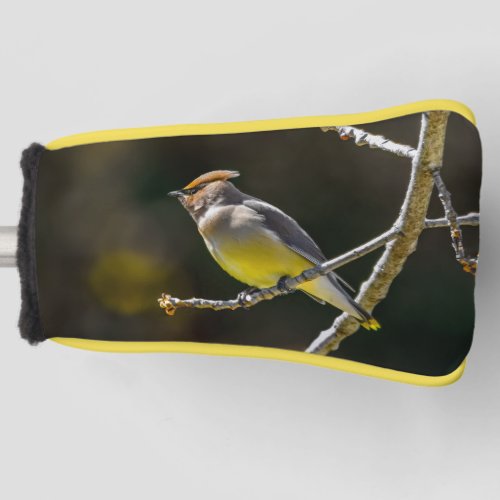 Cedar Waxwing Songbird Original Wild Bird Photo Golf Head Cover