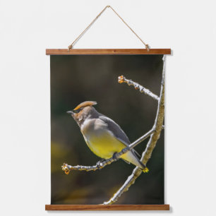 Cedar Waxwing Songbird Original Wild Bird Photo Hanging Tapestry