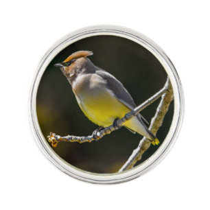 Cedar Waxwing Songbird Original Wild Bird Photo Lapel Pin