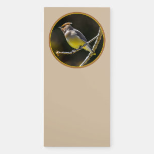 Cedar Waxwing Songbird Original Wild Bird Photo Magnetic Notepad