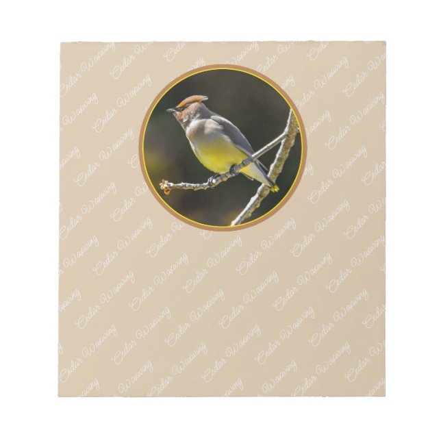 Cedar Waxwing Songbird Original Wild Bird Photo Notepad (Front)
