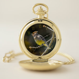 Cedar Waxwing Songbird Original Wild Bird Photo Pocket Watch